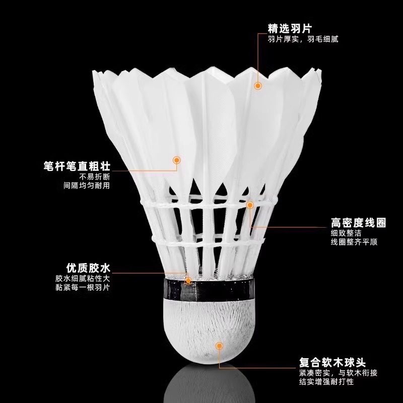 Lion Badminton Shuttlecock Goo - đánh giá và giá Badminton Event